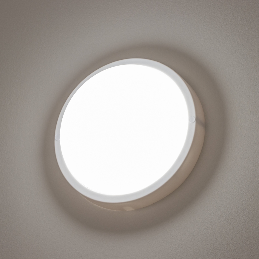Brilagi - LED-ulkokattovalaisin LED/13W/230V halkaisija 17 cm IP54