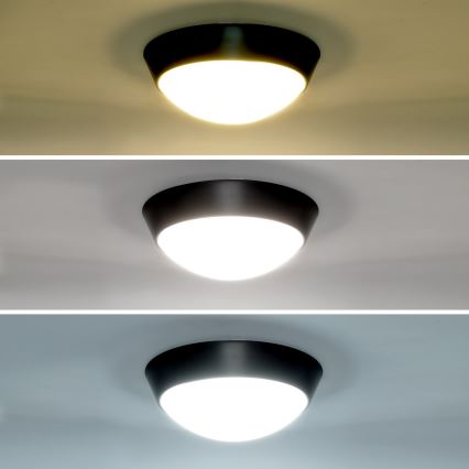 Brilagi - LED-ulkoseinävalaisin 2in1 BULKHEAD LED/20W/230V 3000/4000/6000K IP65