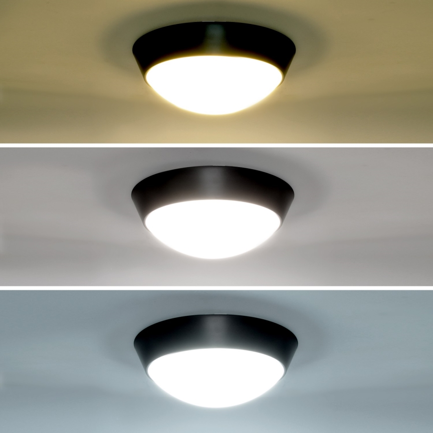 Brilagi - LED-ulkoseinävalaisin 2in1 BULKHEAD LED/20W/230V 3000/4000/6000K IP65