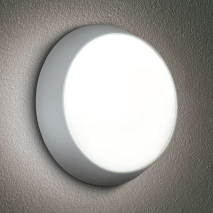 Brilagi - LED-ulkoseinävalaisin 2in1 BULKHEAD LED/20W/230V 3000/4000/6000K IP65