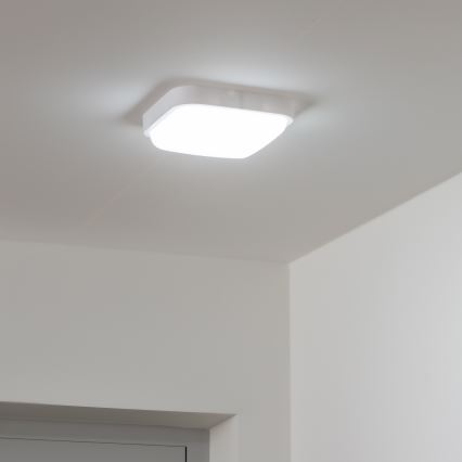 Brilagi - LED Ulkoseinävalaisin LED/20W/230V IP54