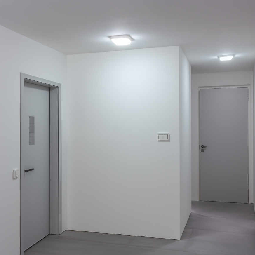 Brilagi - LED Ulkoseinävalaisin LED/20W/230V IP54