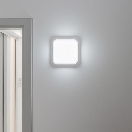Brilagi - LED Ulkoseinävalaisin LED/20W/230V IP54