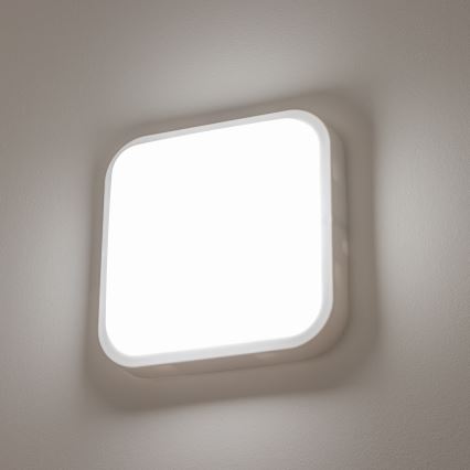 Brilagi - LED Ulkoseinävalaisin LED/20W/230V IP54