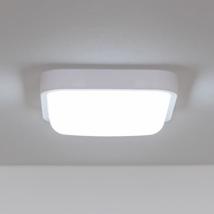 Brilagi - LED Ulkoseinävalaisin LED/20W/230V IP54