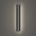 Brilagi - LED-ulkoseinävalaisin LINEAR LED/12W/230V 4000K IP65 50 cm antrasiitti
