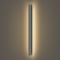 Brilagi - LED-ulkoseinävalaisin LINEAR LED/22W/230V 3000K IP65 100 cm antrasiitti