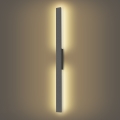 Brilagi - LED ulkoseinävalaisin LUNA LED/24W/230V 3000K IP65 100 cm antrasiitti