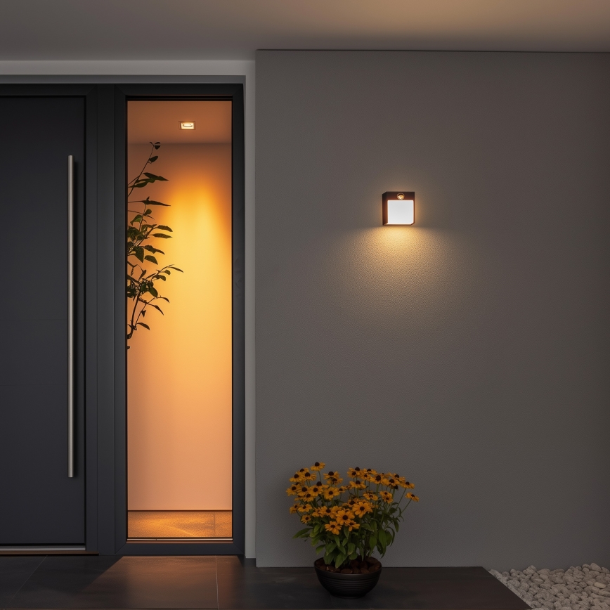 Brilagi - LED-ulkovaloseinävalaisin liiketunnistimella TERNI LED/12W/230V musta IP44