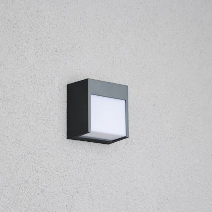 Brilagi - LED-ulkoseinävalaisin TERNI LED/12W/230V antrasiitti IP44