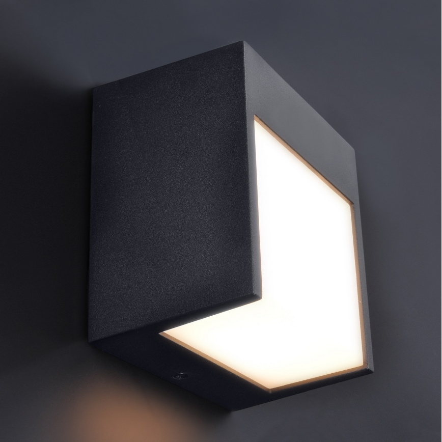 Brilagi - LED-ulkoseinävalaisin TERNI LED/12W/230V musta IP44