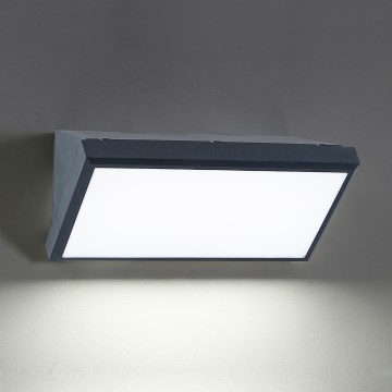 Brilagi - LED-ulkoseinävalaisin TRIANGLE LED/20W/230V antrasiitti IP65