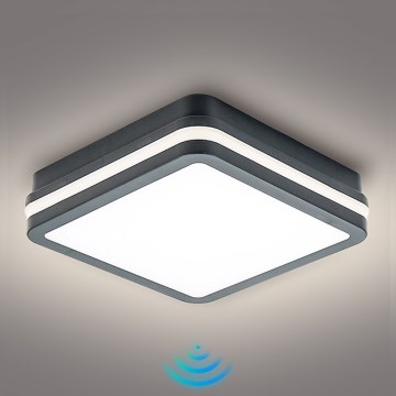 Brilagi - LED-ulkovalaisin anturilla BENE LED/18W/230V 22x22 cm antrasiitti IP54