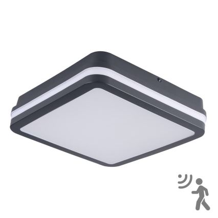 Brilagi - LED-ulkovalaisin anturilla BENE LED/18W/230V 22x22 cm antrasiitti IP54