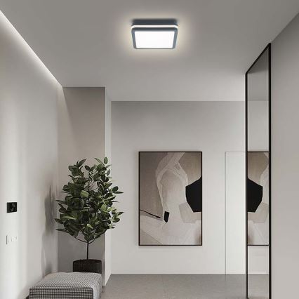 Brilagi - LED-ulkovalaisin anturilla BENE LED/18W/230V 22x22 cm antrasiitti IP54