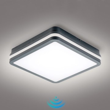 Brilagi - LED-ulkovalaisin anturilla BENE LED/24W/230V 26x26 cm antrasiitti IP54
