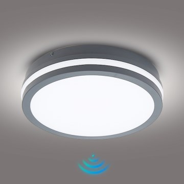 Brilagi - LED-ulkovalaisin anturilla BENE LED/24W/230V halkaisija 26 cm antrasiitti IP54