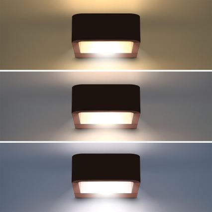 Brilagi - LED-ulkoseinävalaisin BARI LED/7W/230V 3000/4000/6000K ruskea IP54