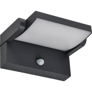 Brilagi - LED Ulkovalo anturilla ANKLE LED/18W/230V 3000K IP65 antrasiitti