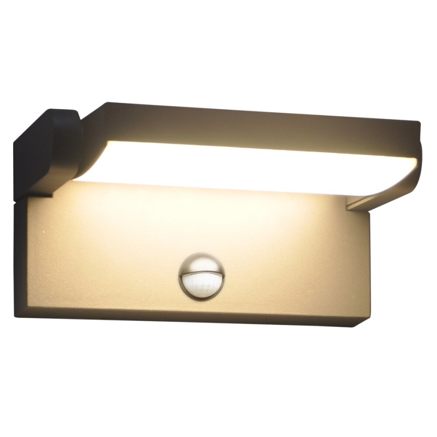 Brilagi - LED Ulkovalo anturilla ANKLE LED/18W/230V 3000K IP65 antrasiitti