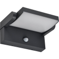 Brilagi - LED Ulkovalo anturilla ANKLE LED/18W/230V 4000K IP65 antrasiitti