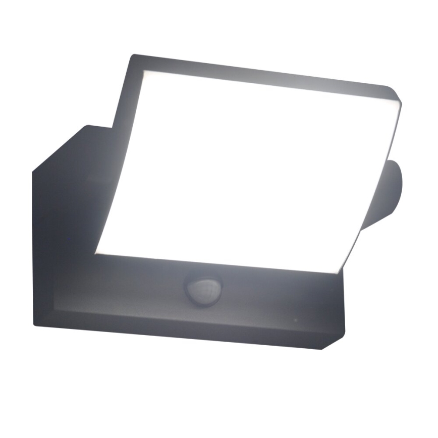 Brilagi - LED Ulkovalo anturilla ANKLE LED/18W/230V 4000K IP65 antrasiitti