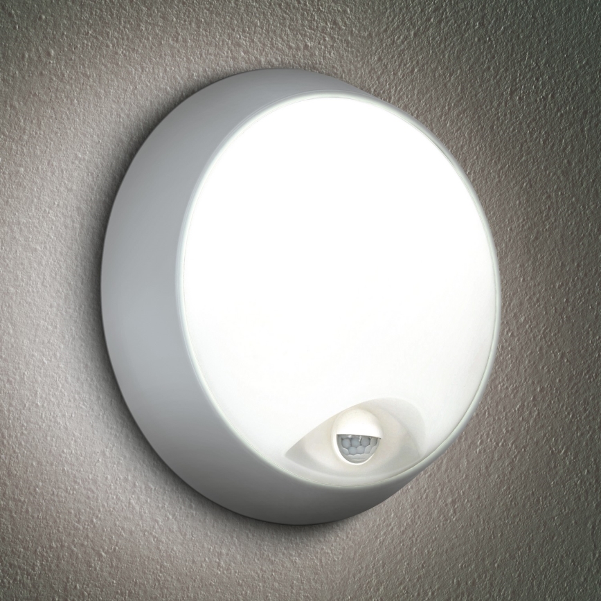 Brilagi - LED Ulkovalo anturilla 2in1 BULKHEAD LED/20W/230V IP65
