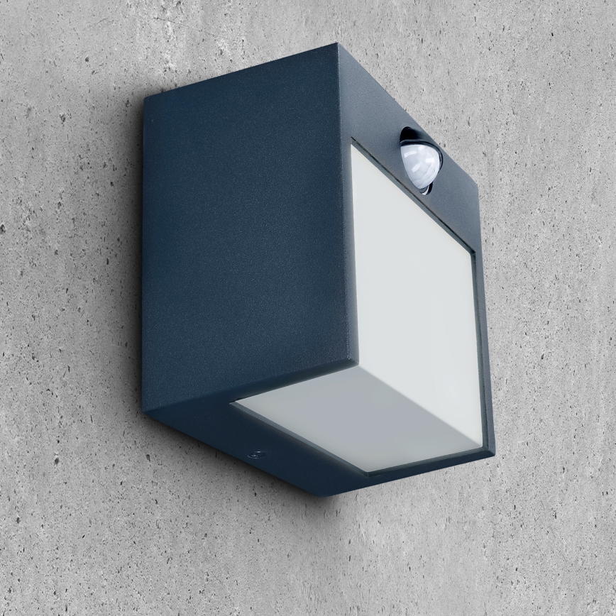 Brilagi - LED Ulkovalo anturilla TERNI LED/12W/230V antrasiitti IP44