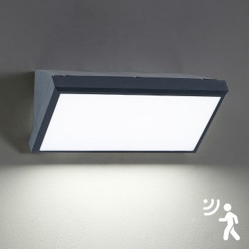 Brilagi - LED Ulkovalo anturilla TRIANGLE LED/20W/230V antrasiitti IP65