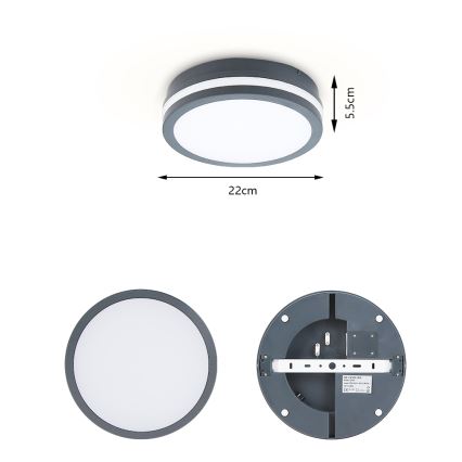 Brilagi - LED-ulkovalo BENE LED/18W/230V halkaisija 22 cm antrasiitti IP54
