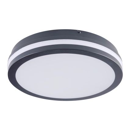 Brilagi - LED-ulkovalo BENE LED/24W/230V halkaisija 26 cm antrasiitti IP54