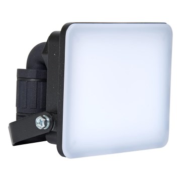 Brilagi - LED-valonheitin ELARA PRO LED/10W/230V IP65