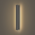 Brilagi - LINEAR LED ulkoseinävalaisin 12W/230V 3000K IP65 50 cm antrasiitti