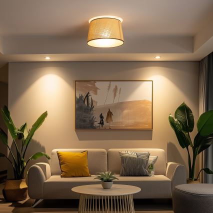 Brilagi - Pinta-asennettava LED-kattovalaisin CERIA 1xE27/40W/230V halkaisija 35 cm beige