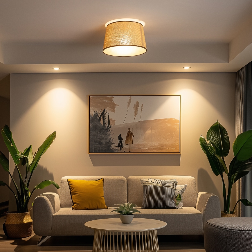 Brilagi - Pinta-asennettava LED-kattovalaisin CERIA 1xE27/40W/230V halkaisija 35 cm beige