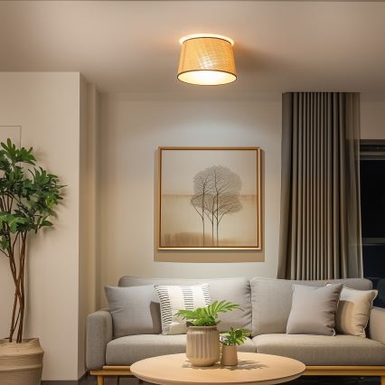 Brilagi - Pinta-asennettava LED-kattovalaisin CERIA 1xE27/40W/230V halkaisija 35 cm beige