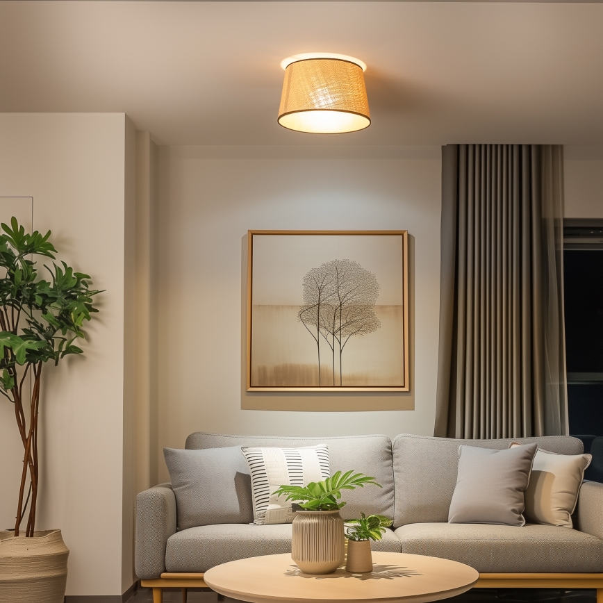 Brilagi - Pinta-asennettava LED-kattovalaisin CERIA 1xE27/40W/230V halkaisija 35 cm beige