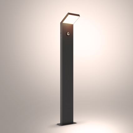 Brilagi - LED ulkovalaisin liiketunnistimella RIANO LED/8W/230V antrasiitti IP65