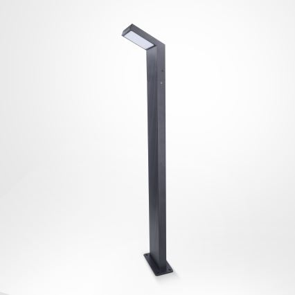 Brilagi - RIANO LED-ulkovalaisin LED/8W/230V antrasiitti IP65