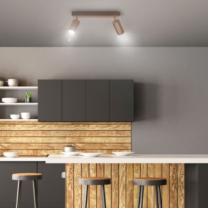 Brilagi - Spottivalaisin SELE 2xGU10/30W/230V beige