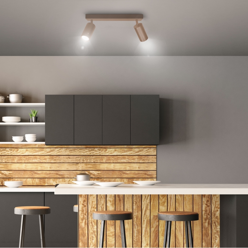 Brilagi - Spottivalaisin SELE 2xGU10/30W/230V beige