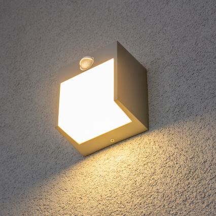 Brilagi - LED-ulkovaloseinävalaisin liiketunnistimella TERNI LED/12W/230V harmaa IP44