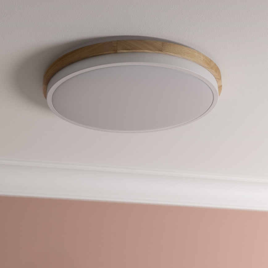 Brilliant - Himmennettävä LED-kattovalaisin BAARLO LED/24W/230V halkaisija 35 cm valkoinen/kumiviikuna