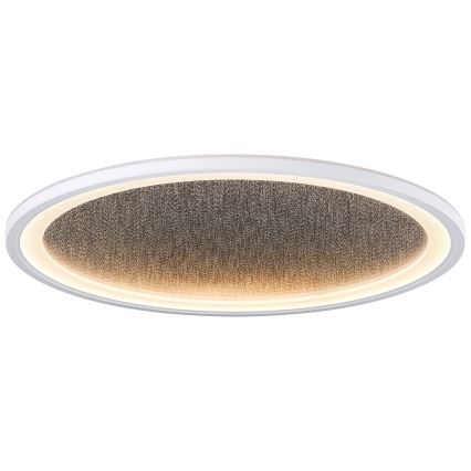 Brilliant - Himmennettävä LED-kattovalaisin TANIDA LED/31W/230V 3000-6500K + kauko-ohjaus