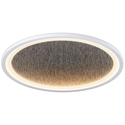 Brilliant - Himmennettävä LED-kattovalaisin TANIDA LED/31W/230V 3000-6500K + kauko-ohjaus
