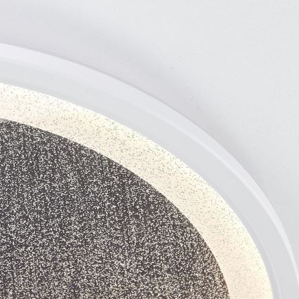 Brilliant - Himmennettävä LED-kattovalaisin TANIDA LED/31W/230V 3000-6500K + kauko-ohjaus