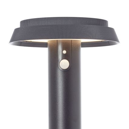 Brilliant - LED-aurinkolamppu anturilla ALVERO LED/4W/3,7V 50 cm IP44 musta
