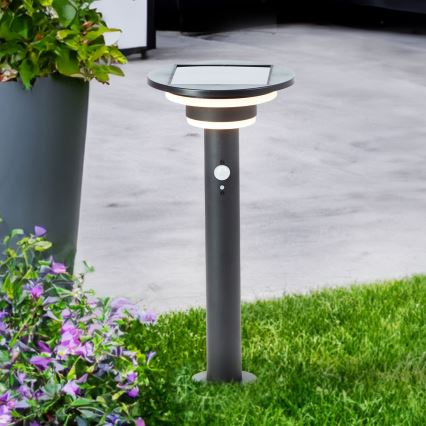 Brilliant - LED-aurinkolamppu anturilla GARVINA LED/3W/3,7V 45 cm IP44 musta