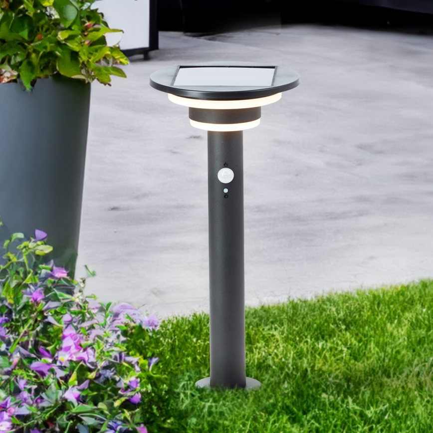 Brilliant - LED-aurinkolamppu anturilla GARVINA LED/3W/3,7V 45 cm IP44 musta