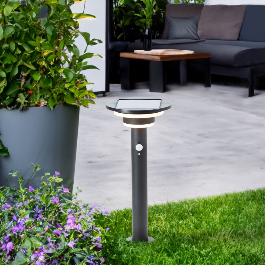 Brilliant - LED-aurinkolamppu anturilla GARVINA LED/3W/3,7V 45 cm IP44 musta
